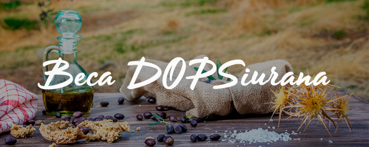 banner-beca-dop-siurana banner-beca-dop-siurana