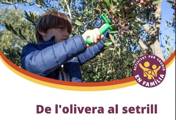 De l’olivera al setrill