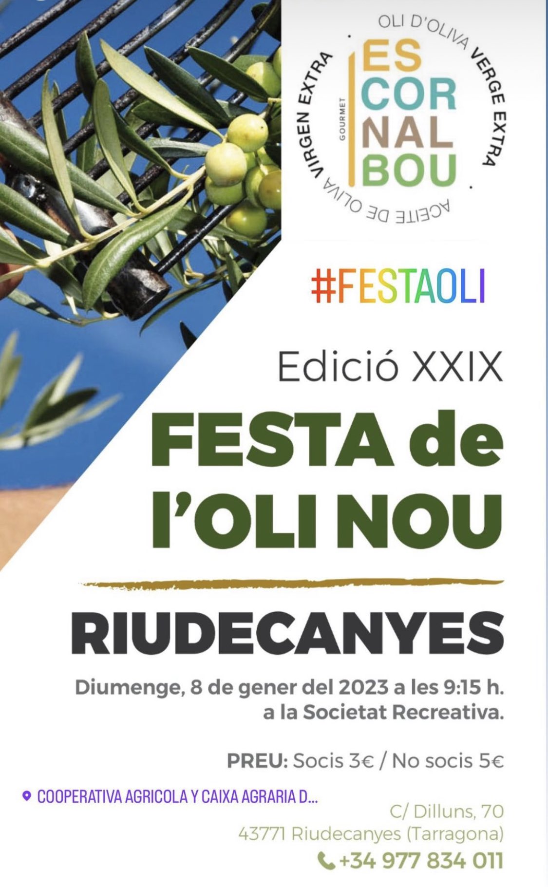 Festa de l’Oli Nou de Riudecanyes