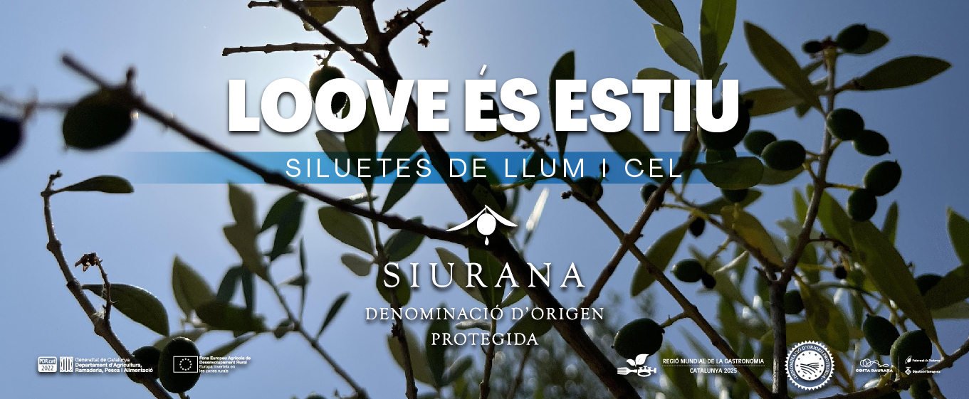 Slides_2