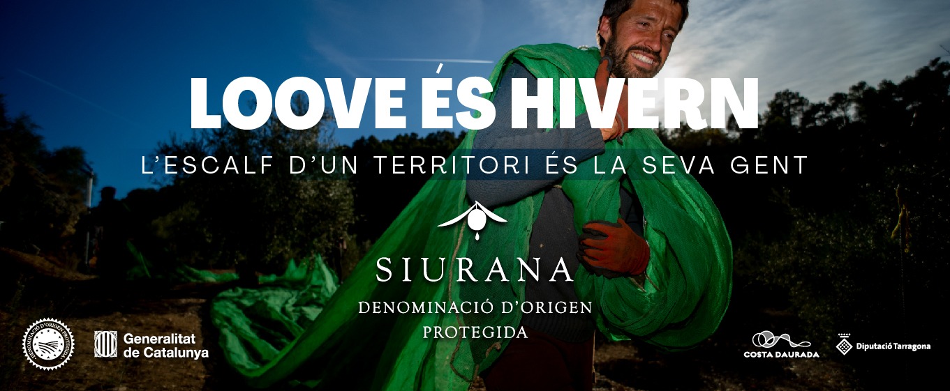 WhatsApp Image 2025-12-16 at 12.35.19