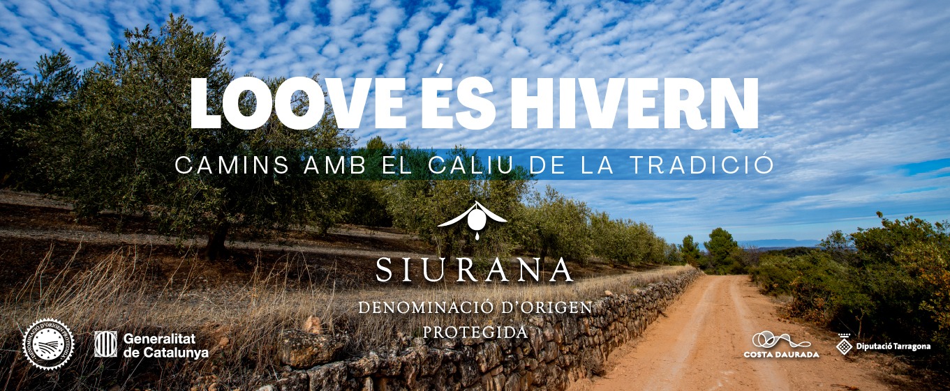 WhatsApp Image 2025-12-16 at 12.35.20