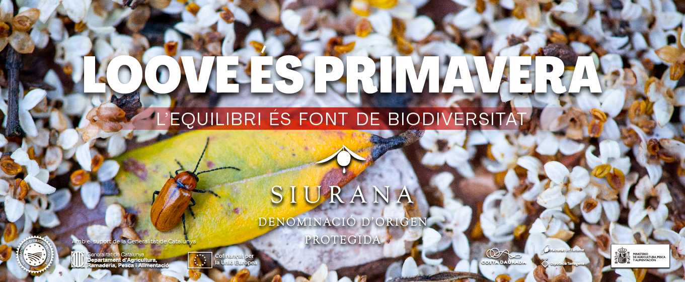 SlidesPrimavera_26_1