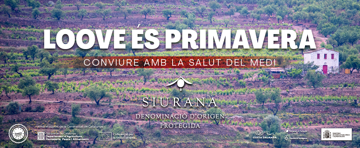 SlidesPrimavera_26_2