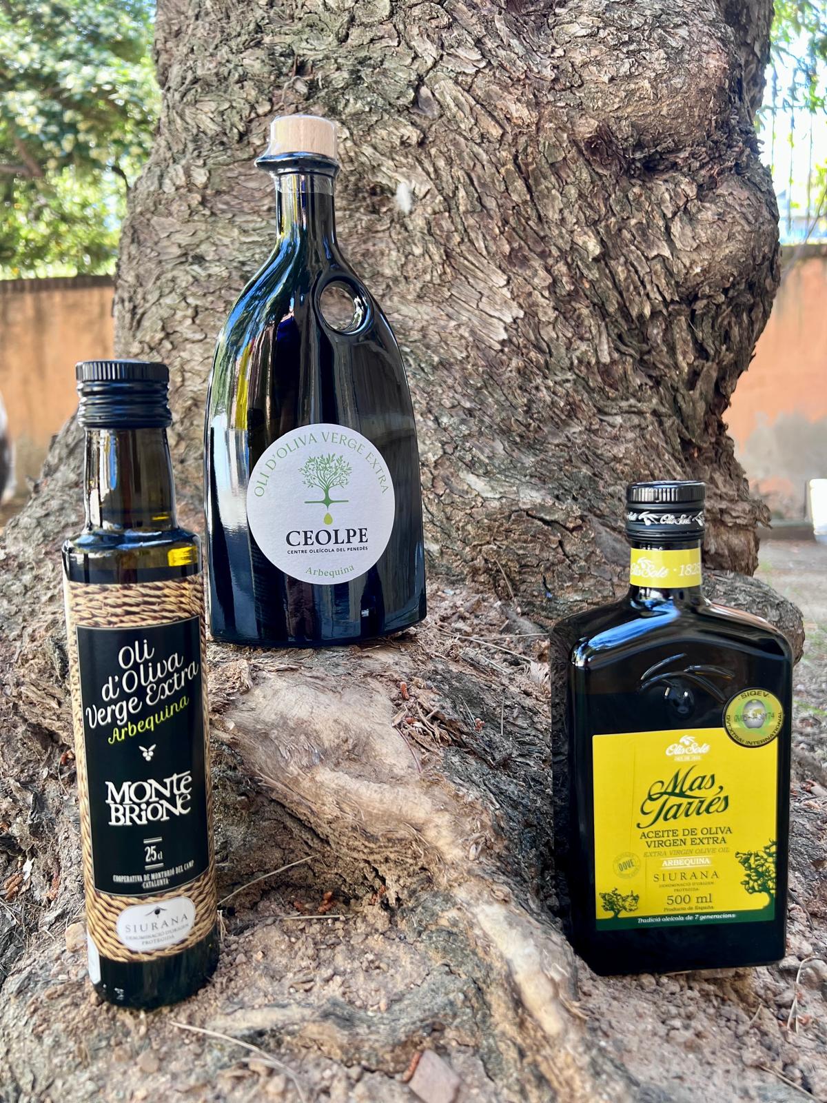 GUARDONATSDOPSIURANA2025-26