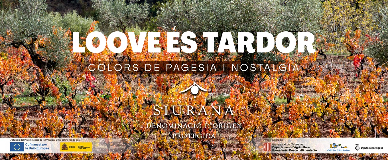 Banner - tardor 2026 01