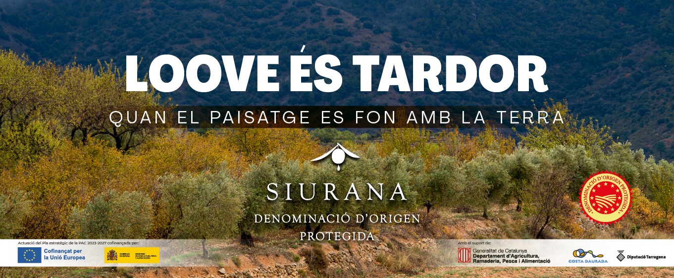 Banner - tardor 2026 02