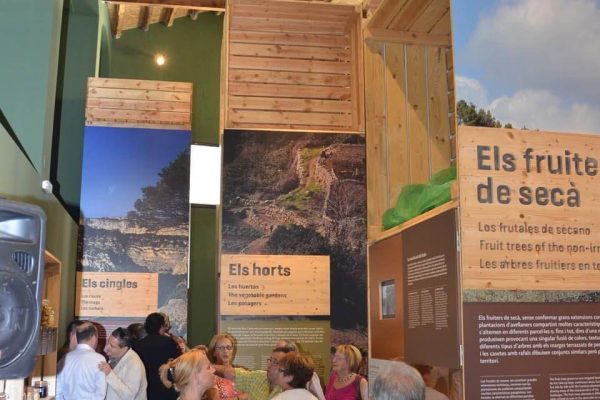 CENTRE-D'INTERPRETACIO-MUSEO DE L'OLI RIUDECANYES - Escornalbou Gourmet